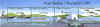 barb191.jpg (15474 Byte)